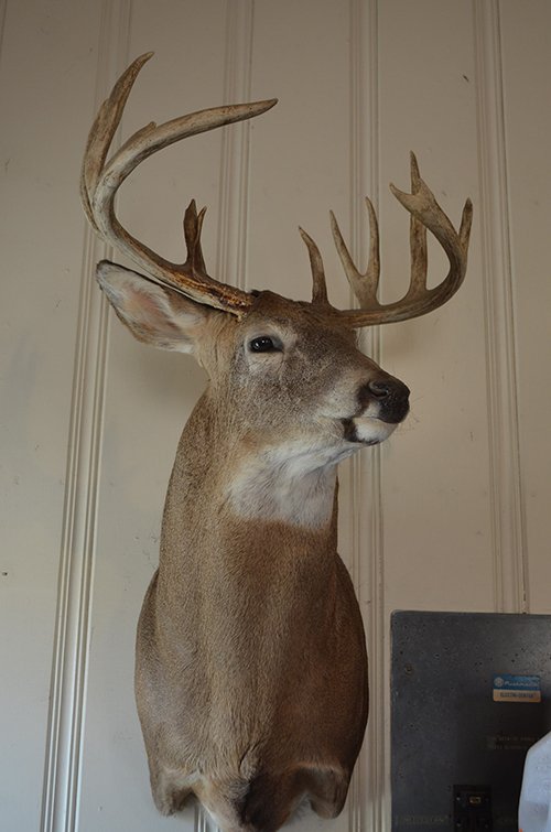 Property photo 192 - REAL ESTATE & PERSONAL PROPERTY AUCTION, 140 Acres offered in 8 Tracts or Combinations in Steuben County
